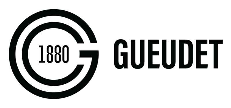 Logo de AravisConnect